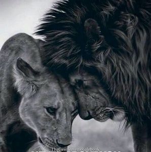 Meet your Posher, George